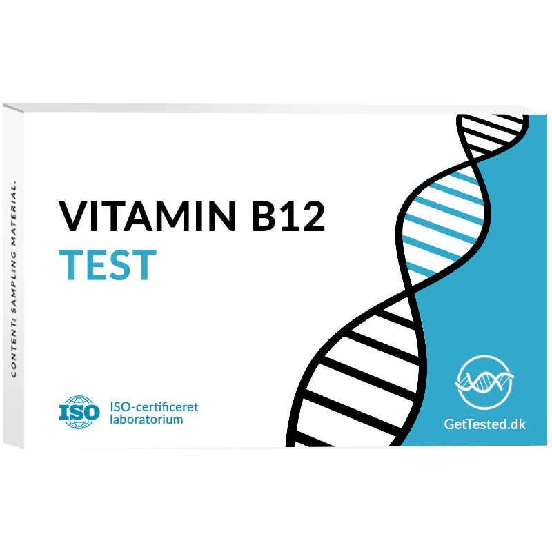 Vitamin B12 Test